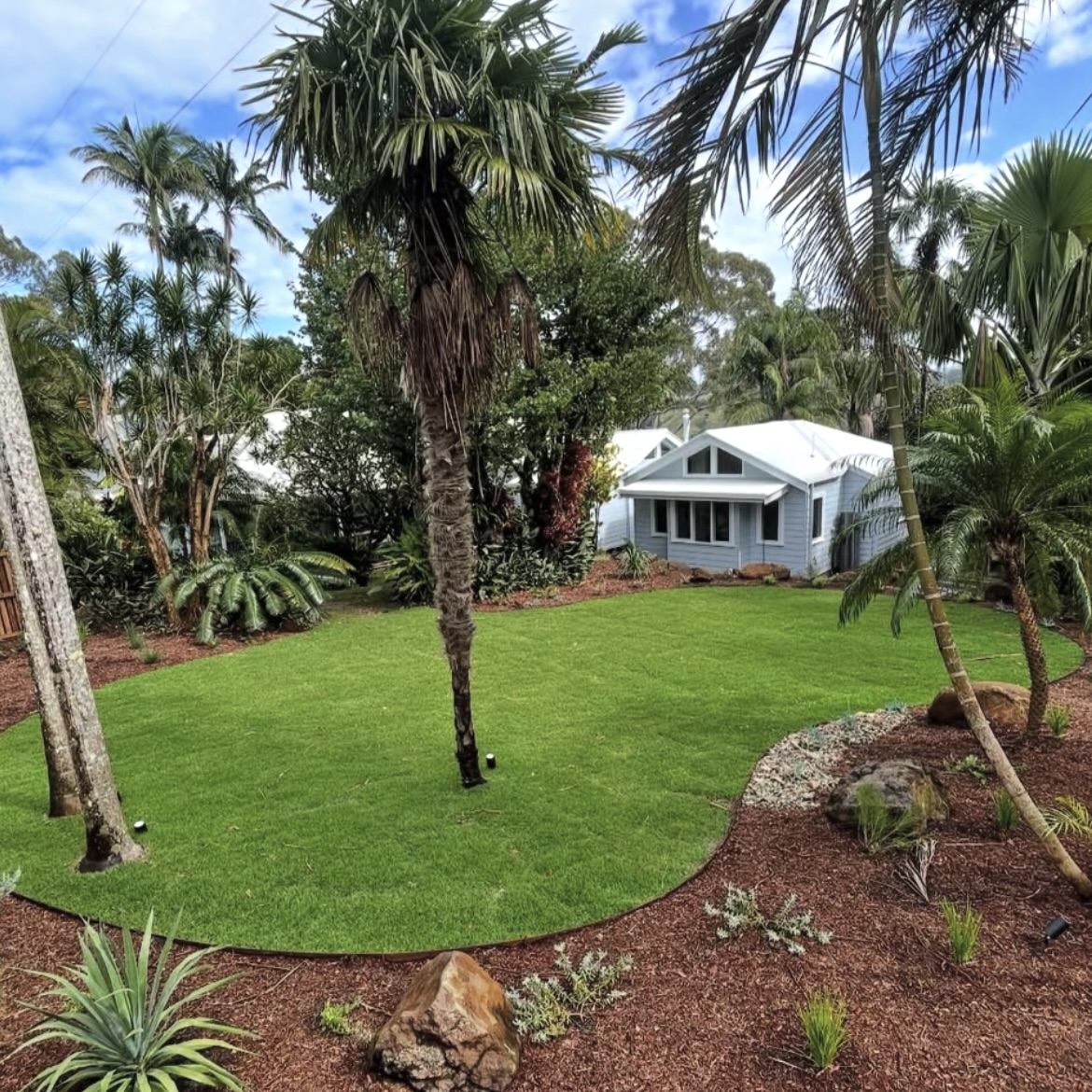 New lawn laid around palms at a Tweed Coast Queenslander